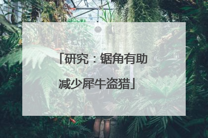 研究：锯角有助减少犀牛盗猎