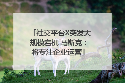 社交平台X突发大规模宕机 马斯克：将专注企业运营