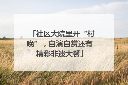 社区大院里开“村晚”，自演自赏还有精彩非遗大餐