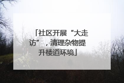 社区开展“大走访”，清理杂物提升楼道环境