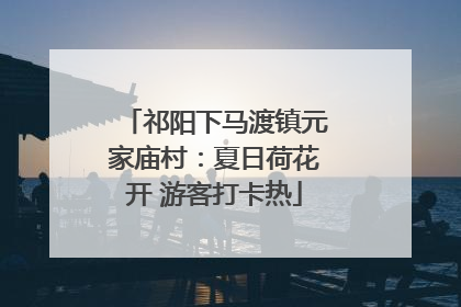祁阳下马渡镇元家庙村：夏日荷花开 游客打卡热