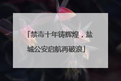 禁毒十年铸辉煌，盐城公安启航再破浪