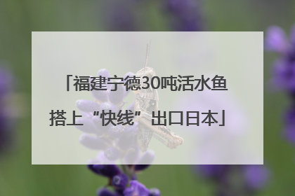 福建宁德30吨活水鱼搭上“快线”出口日本