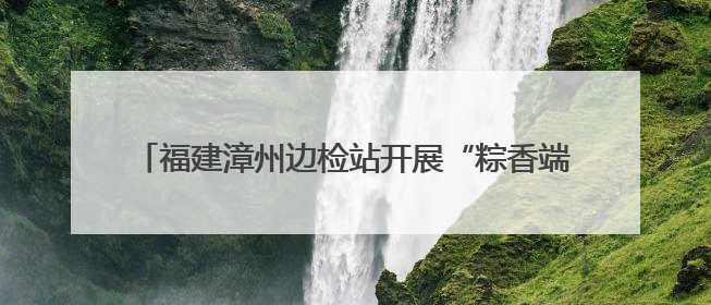 福建漳州边检站开展“粽香端午 情浓两岸”台胞座谈会