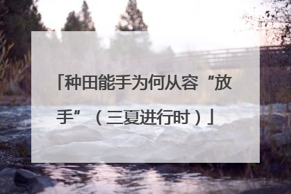 种田能手为何从容“放手”（三夏进行时）
