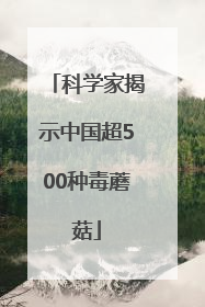 科学家揭示中国超500种毒蘑菇