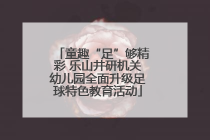 童趣“足”够精彩 乐山井研机关幼儿园全面升级足球特色教育活动