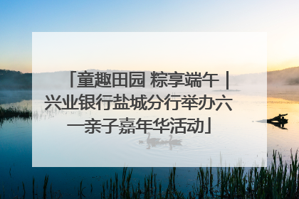 童趣田园 粽享端午｜兴业银行盐城分行举办六一亲子嘉年华活动
