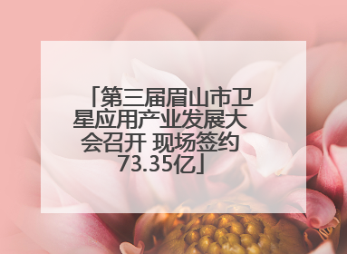 第三届眉山市卫星应用产业发展大会召开 现场签约73.35亿