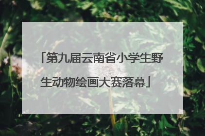 第九届云南省小学生野生动物绘画大赛落幕