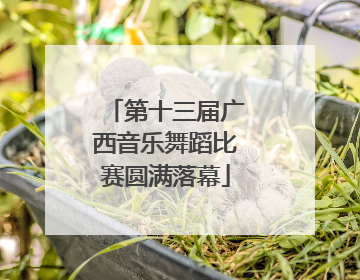 第十三届广西音乐舞蹈比赛圆满落幕