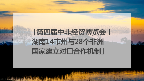 第四届中非经贸博览会丨湖南14市州与28个非洲国家建立对口合作机制