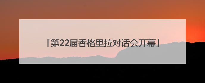 第22届香格里拉对话会开幕