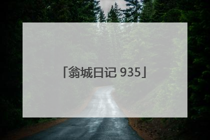 翁城日记 935
