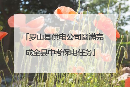 罗山县供电公司圆满完成全县中考保电任务
