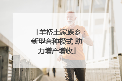 羊桥土家族乡：新型套种模式 助力增产增收