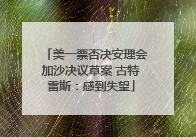 美一票否决安理会加沙决议草案 古特雷斯：感到失望