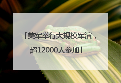 美军举行大规模军演，超12000人参加