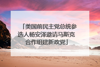 美国前民主党总统参选人杨安泽邀请马斯克合作组建新政党