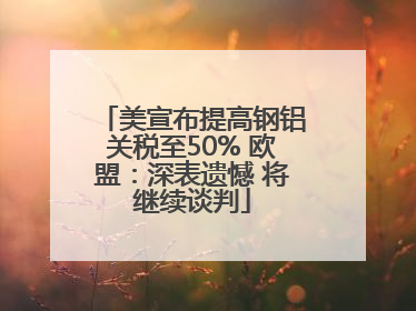 美宣布提高钢铝关税至50% 欧盟：深表遗憾 将继续谈判