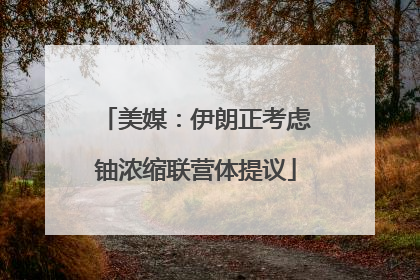 美媒：伊朗正考虑铀浓缩联营体提议