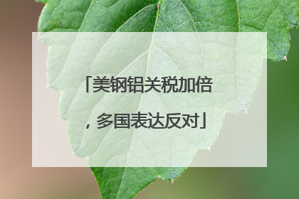 美钢铝关税加倍，多国表达反对