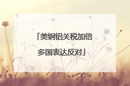 美钢铝关税加倍 多国表达反对