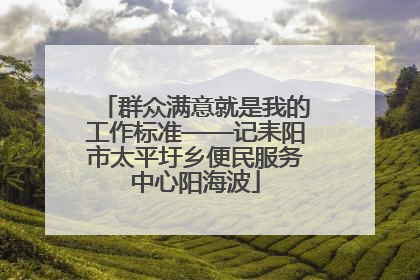 群众满意就是我的工作标准——记耒阳市太平圩乡便民服务中心阳海波