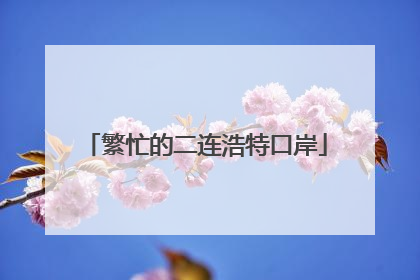 繁忙的二连浩特口岸