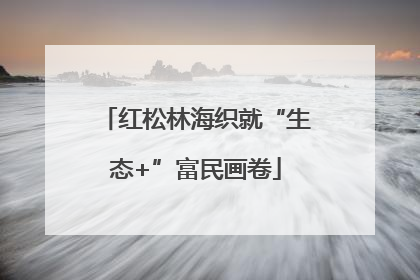 红松林海织就“生态+”富民画卷
