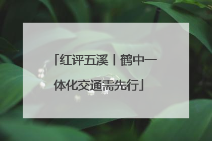 红评五溪丨鹤中一体化交通需先行