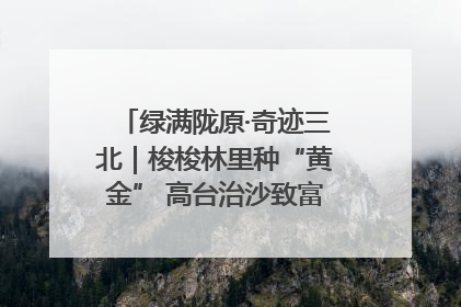绿满陇原·奇迹三北｜梭梭林里种“黄金” 高台治沙致富很“从容”