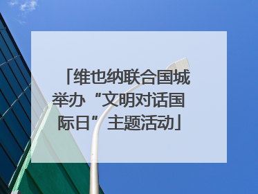 维也纳联合国城举办“文明对话国际日”主题活动