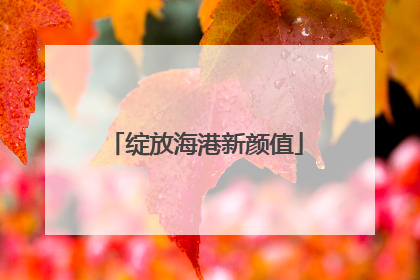 绽放海港新颜值