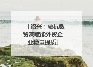 绍兴：融杭数贸港赋能外贸企业稳量提质