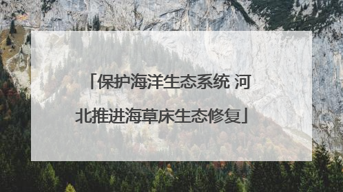 保护海洋生态系统 河北推进海草床生态修复