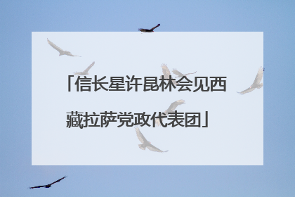 信长星许昆林会见西藏拉萨党政代表团