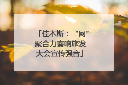 佳木斯：“网” 聚合力奏响旅发大会宣传强音