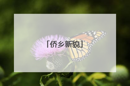 侨乡新貌