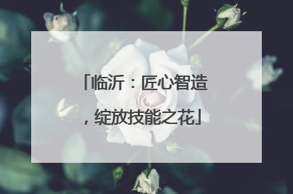 临沂：匠心智造，绽放技能之花
