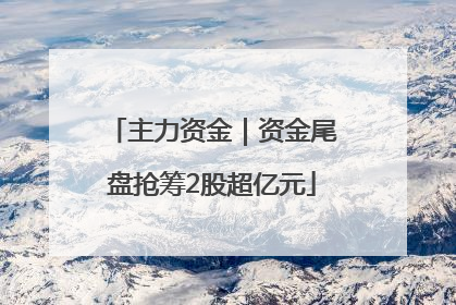 主力资金｜资金尾盘抢筹2股超亿元