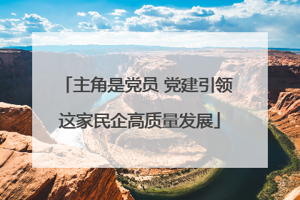 主角是党员 党建引领这家民企高质量发展