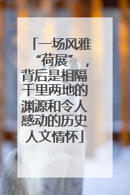 一场风雅“荷展”，背后是相隔千里两地的渊源和令人感动的历史人文情怀
