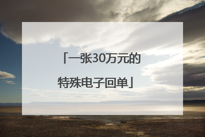 一张30万元的特殊电子回单