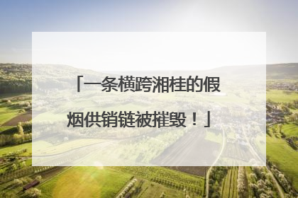 一条横跨湘桂的假烟供销链被摧毁！
