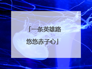 一条英雄路 悠悠赤子心