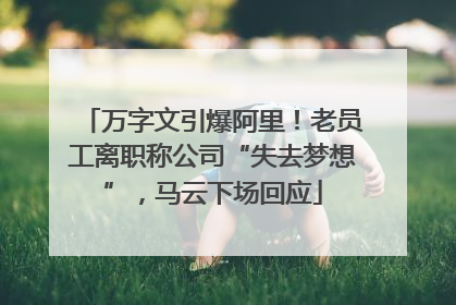 万字文引爆阿里！老员工离职称公司“失去梦想”，马云下场回应