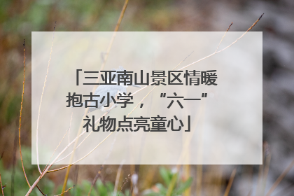 三亚南山景区情暖抱古小学，“六一”礼物点亮童心