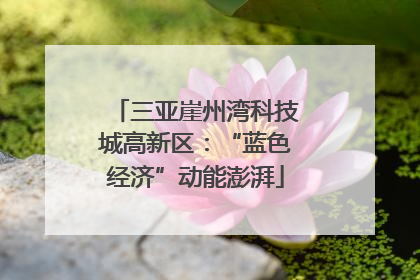 三亚崖州湾科技城高新区：“蓝色经济”动能澎湃