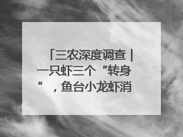 三农深度调查｜一只虾三个“转身”，鱼台小龙虾消费季升级
